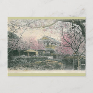 Carte Postale Fleur de cerisier de Nakashima, Nagasaki Japon