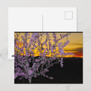 Carte Postale Fleur de cerisier rose dans un ciel jaune