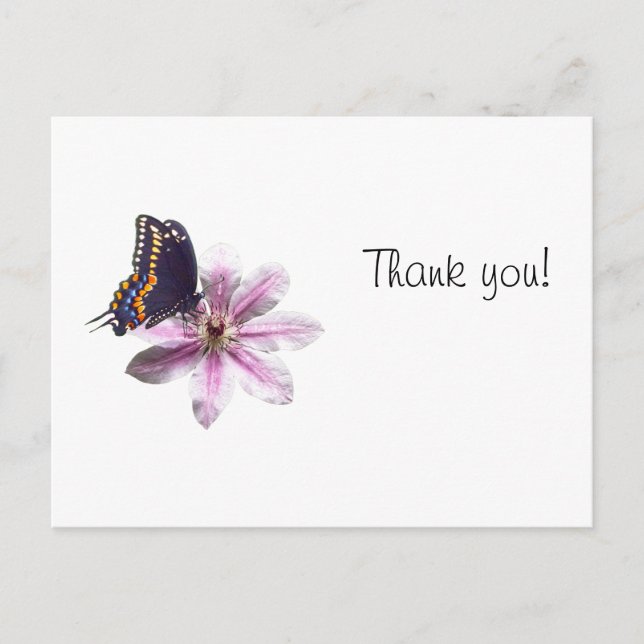 Carte Postale Fleur de Clematis et papillon noir à queue noire (Devant)