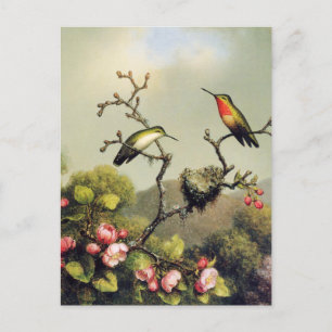 Carte postale Fleur de colibri et Fleur de pomme