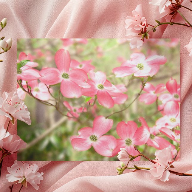Carte Postale Fleur de Cornouiller Rose (Créateur téléchargé)