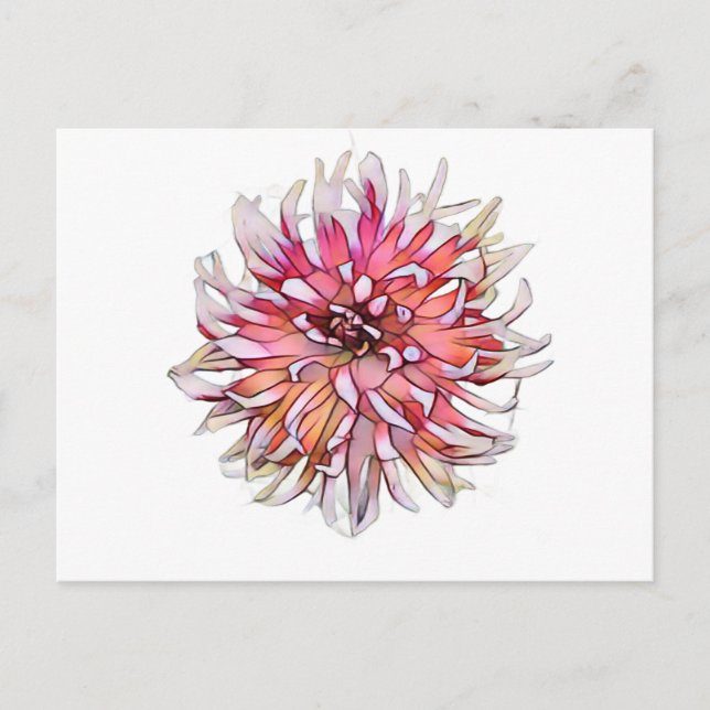 CARTE POSTALE FLEUR DE DAHLIA (Devant)