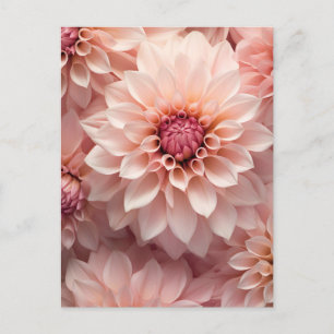 Carte Postale fleur de dahlia aux couleurs pastel douces