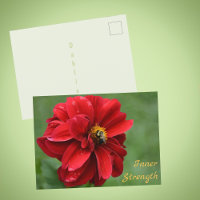 Fleur de Dahlia rouge et abeille photographique