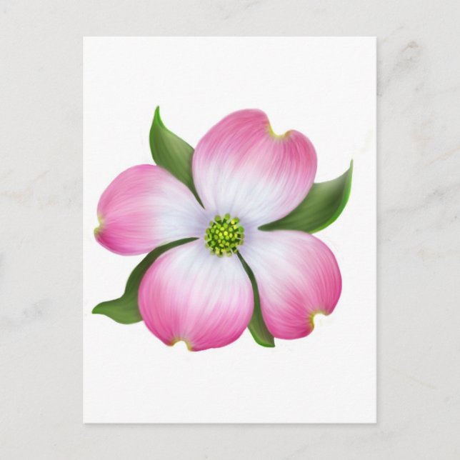 Carte Postale Fleur de Dogwood rose (Devant)