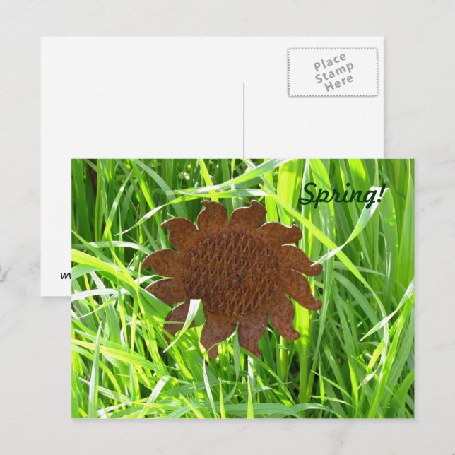 Carte postale - Fleur de fer dans l'herbe (Devant / Derrière)