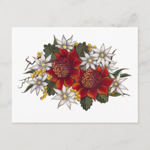 Carte Postale Fleur de flanelle de Warratha