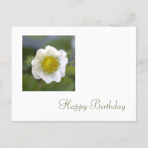 Carte Postale fleur de fraise blanche heureux