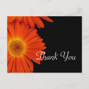 Carte Postale Fleur de gerbera daisy orange élégante comme cadea