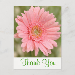 Carte Postale Fleur de Gérbera Daisy verte florale Merci rose