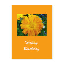 fleur de gerbera jaune