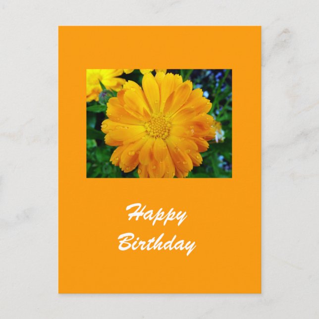 Carte Postale fleur de gerbera jaune (Devant)