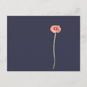 Carte Postale Fleur de Gerbera rouge pâle