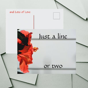 Carte Postale Fleur de l'Hibiscus rouge Photographie Botanique