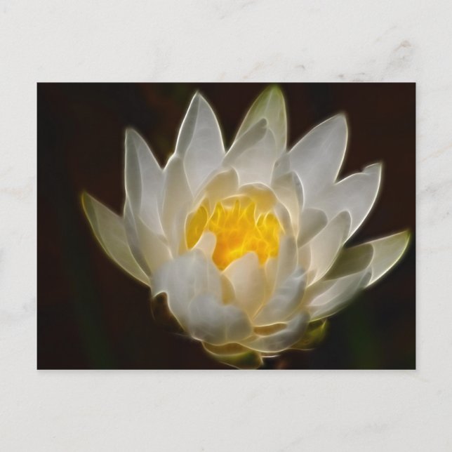 Carte Postale Fleur de lotus et signification (Devant)