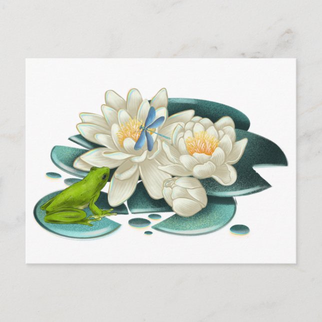 Carte Postale Fleur de lotus, grenouille et libellule (Devant)