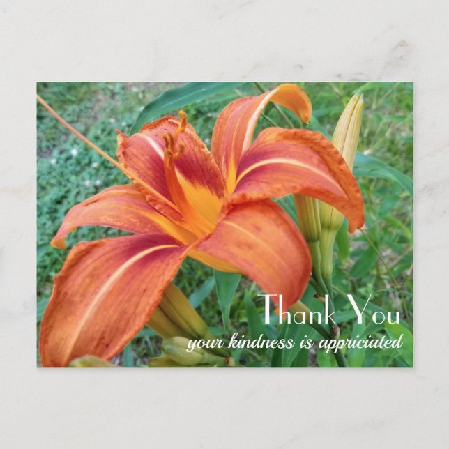 Carte Postale Fleur de lys orange Cadeau Merci  (Devant)