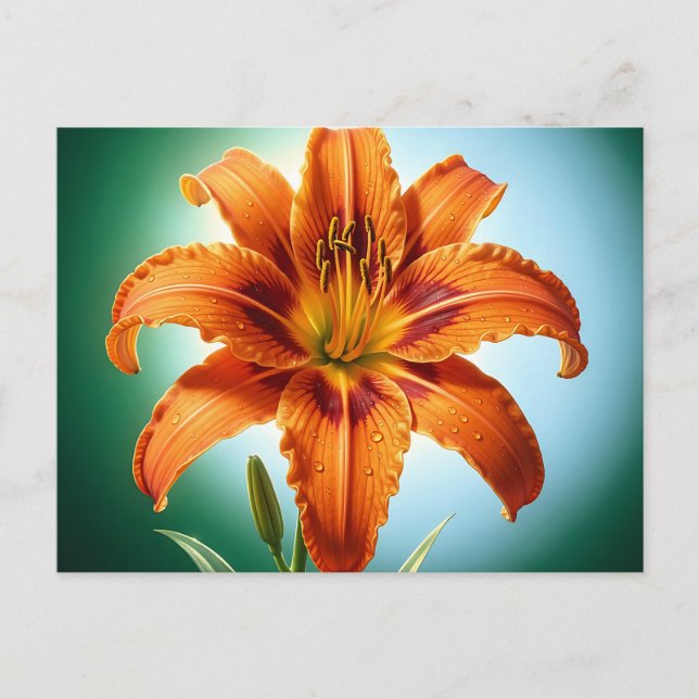 Carte Postale Fleur de lys orange vibrant en fleurs (Devant)