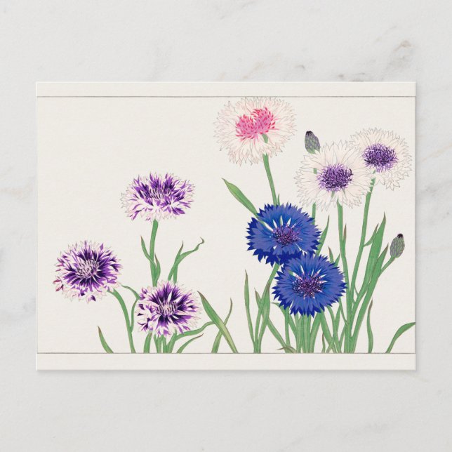 Carte Postale Fleur de maïs par Tanigami Konan (Devant)