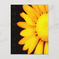 Fleur de marguerite jaune Merci d'artisanat floral