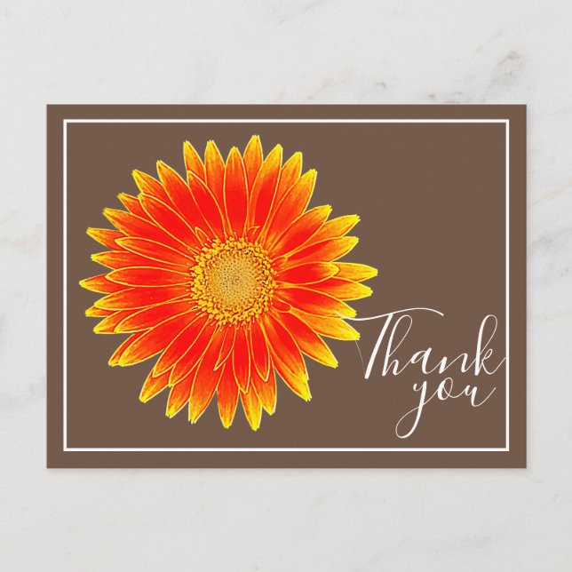 Carte Postale Fleur de marguerite orange avec fond marron Merci (Devant)