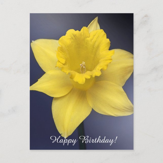 Carte Postale Fleur de Narcisse Jaune aquarelle florale (Devant)