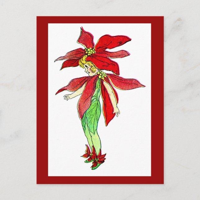 Carte postale Fleur de Noël Pointsettia (Devant)