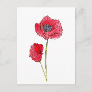 Carte Postale Fleur de pavot rouge Art botanique à l'aquarelle