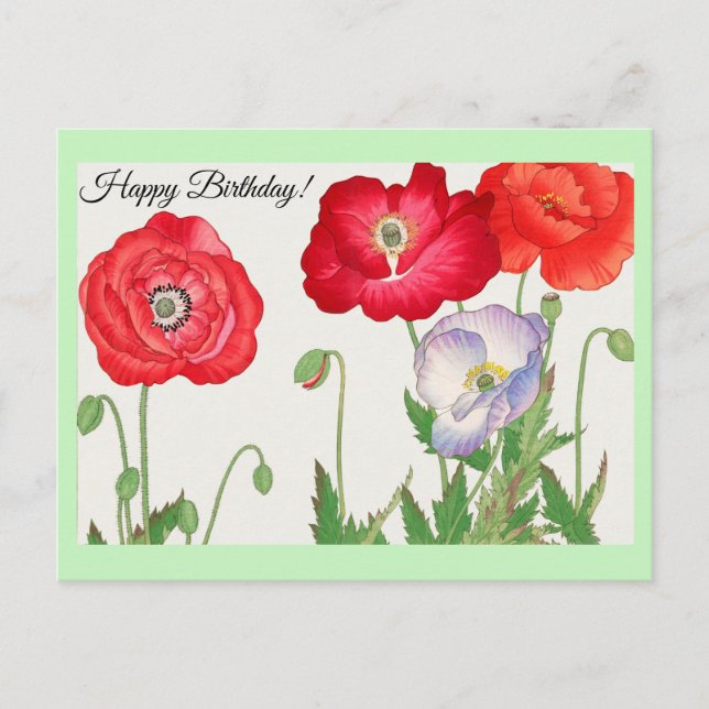 Carte Postale Fleur de pavot vintage (Devant)