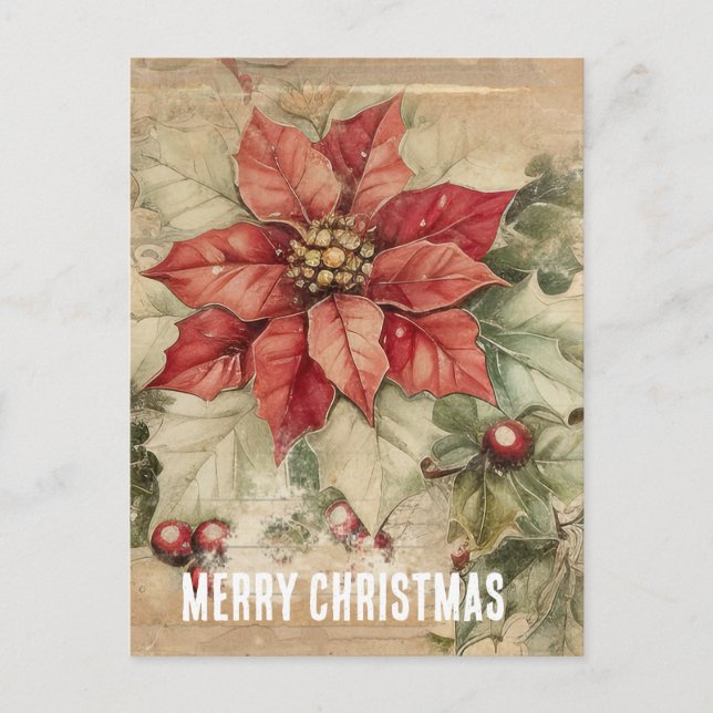 Carte Postale Fleur de poinsettia de Noël vintage (Devant)