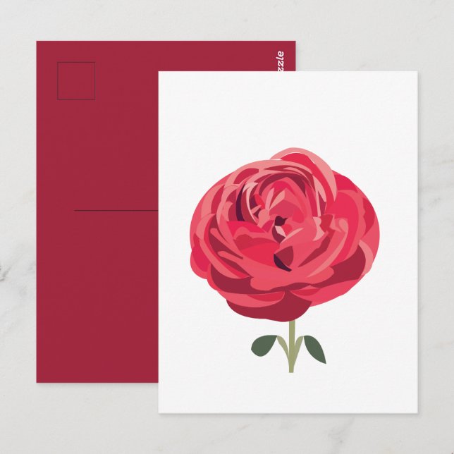 Carte Postale Fleur de rose rouge florale rose rouge (Devant / Derrière)