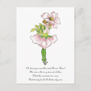Carte Postale Fleur de rosier Pink Briar rose fun drôle fille