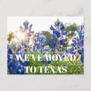 Carte Postale Fleur de Texas Bluebonnets Fleur sauvage Bleu Flor