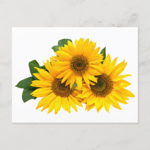 Carte Postale Fleur de Tournesol Jaune Florale - Merci, Amour