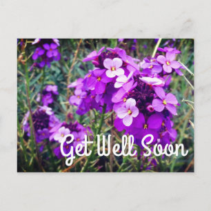 Carte postale Fleur de Wallflower Bowles Mauve #1 