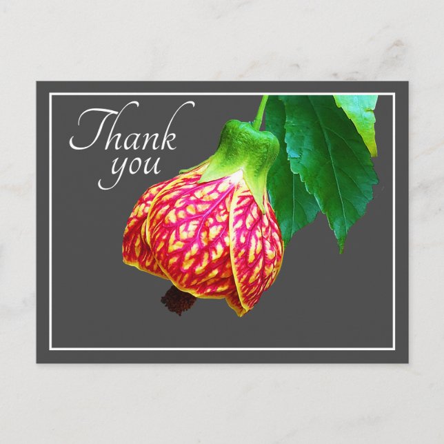 Carte Postale Fleur d'Érable Fleur Fond Gris Merci (Devant)