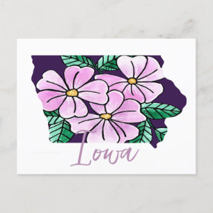 Carte Postale Fleur d'État de l'Iowa