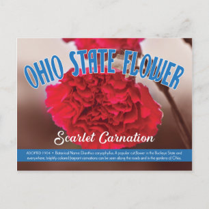 Carte Postale Fleur d'État de l'Ohio, oeillets