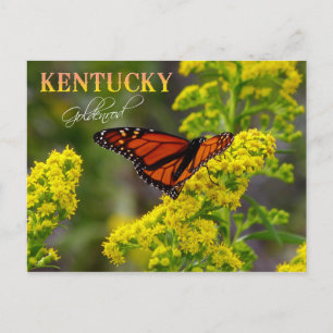 Carte Postale Fleur d'État du Kentucky : Goldenrod