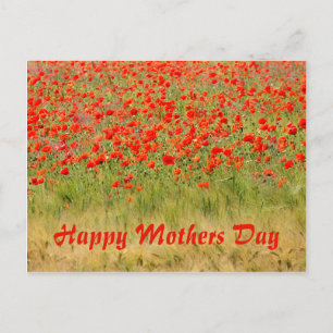 Carte Postale fleur d'été rouge, jour des mères