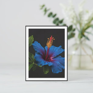 Carte Postale Fleur d'Hibiscus Bleu en Fleur,