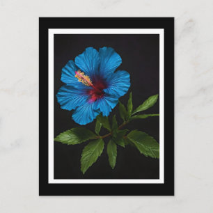 Carte Postale Fleur D'Hibiscus Bleu Sur Noir,