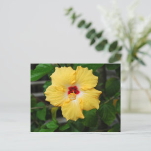 Carte Postale Fleur d'Hibiscus jaune