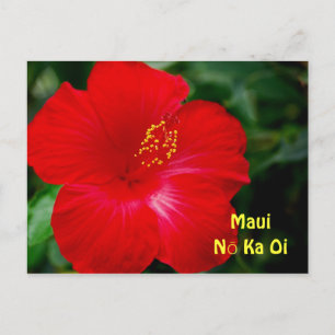 Carte Postale Fleur d'Hibiscus rouge brillante, Maui Hawaii