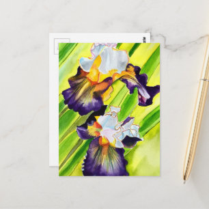 Carte Postale Fleur d'iris florale à l'aquarelle