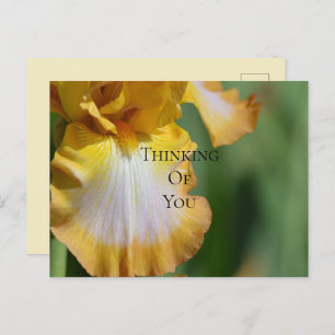 Carte Postale Fleur d'Iris Jaune qui pense à vous