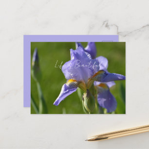 Carte Postale Fleur d'Iris Pourpre (ma photographie)