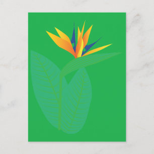 Carte Postale Fleur d'oiseau de paradis