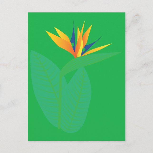 Carte Postale Fleur d'oiseau de paradis (Devant)