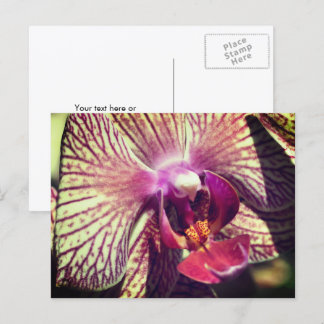 Carte Postale Fleur d'orchidée jolie personnalisée